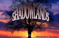 Leeds Arts Council holds auditions for Shadowlands