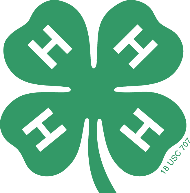 Applications now open to be 4-H ambassador