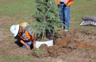 Earth Day tree planting with Trussville Tree Commission & SAiia