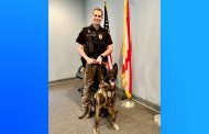 VIDEO: Argo City Council receives visit from K9 Officer 'Argo'