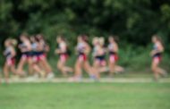 Springville High School to host cross-country event at Homestead Hollow