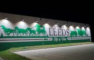 New City of Leeds mural completed