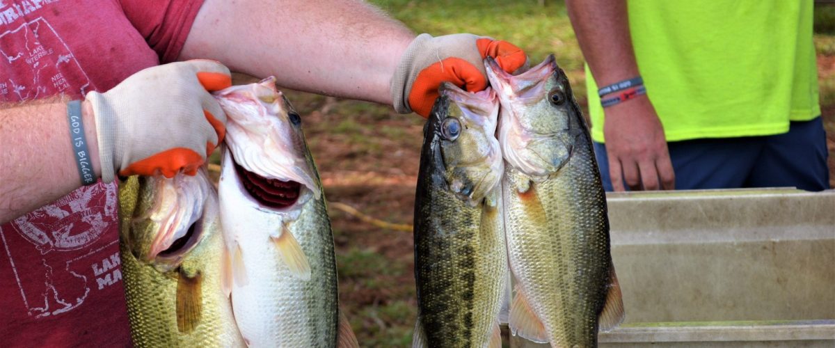 6th annual God is Bigger Movement Bass Fishing Tournament to be held in Pell City in September