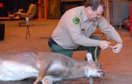 WFF biologists available to help with hunting season preparations