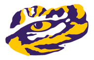Tigers fall to Panthers in region game