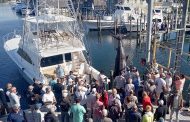 Orange Beach boat lands potential record blue marlin