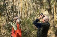 Tree Talk: Hickories on the Cahaba River Tree Trail