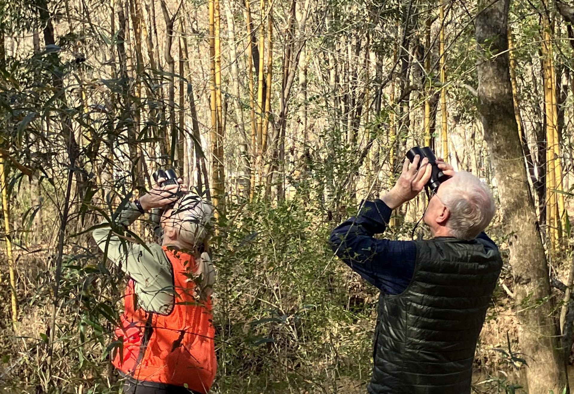 Tree Talk: Hickories on the Cahaba River Tree Trail